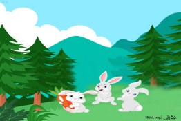 قصه شب | جنگل کاج خرگوش‌ها (قسمت اول)