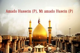 Amado Hussein (P), Mi amado Husein (P)