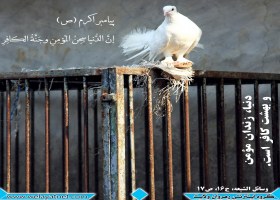 پرواز روح